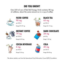 Red Bull Energy Drink 473mL -Camping Series Shop BCF 526282 02 hi res